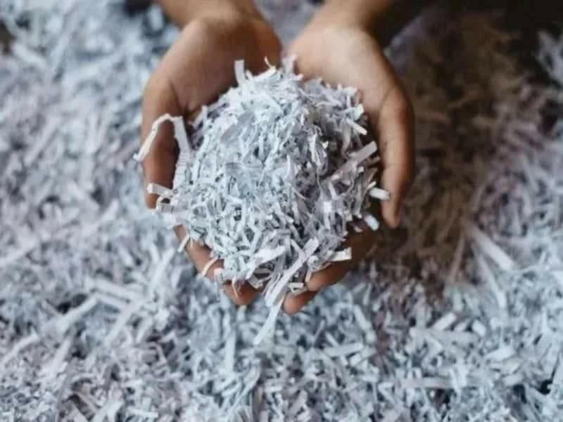 Document Shredding Business Plan - BPlanMaker