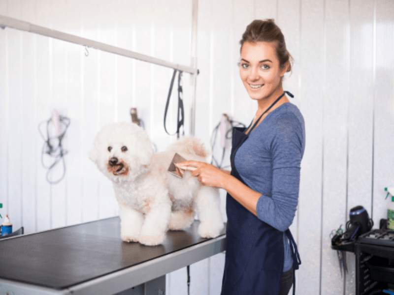 Dog Grooming Service Business Plan - BPlanMaker