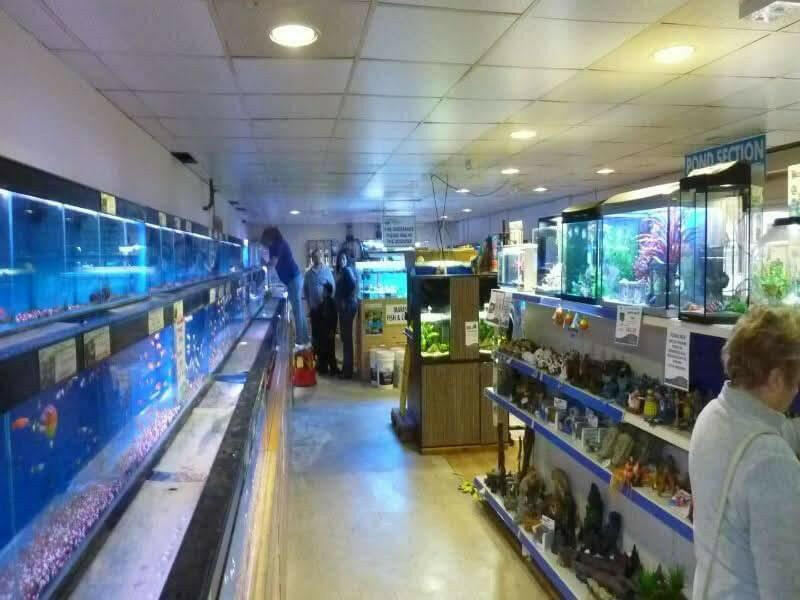 Exotic Fish Aquarium Store Business Plan - BPlanMaker