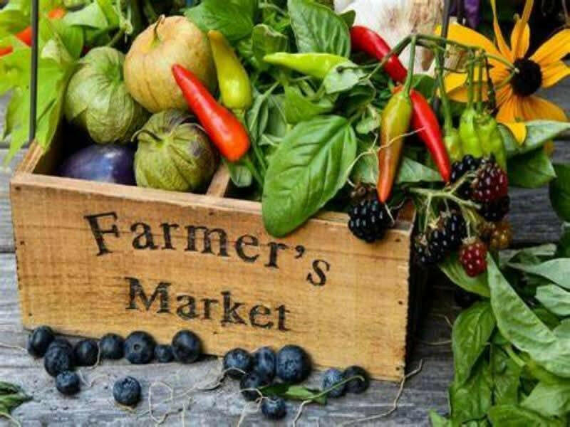 Farmer's Market Business Plan - BPlanMaker