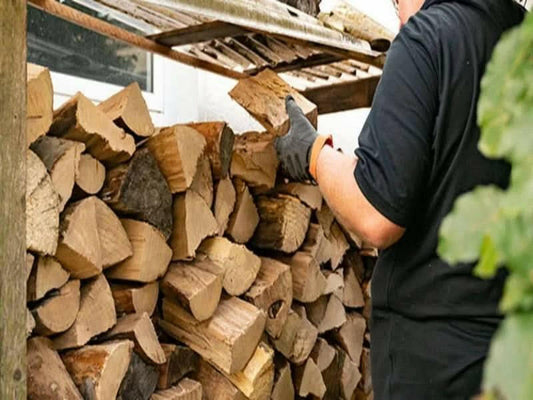 Firewood Delivery Service Business Plan - BPlanMaker