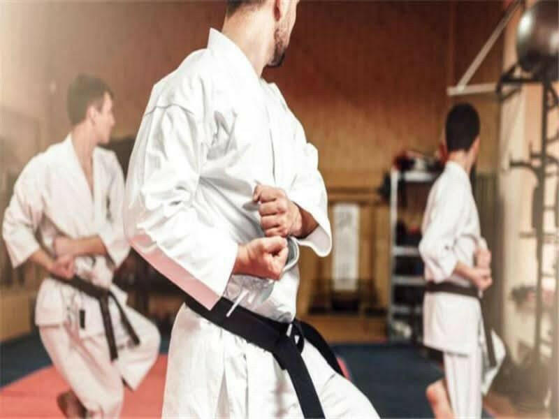 Karate School Business Plan - BPlanMaker