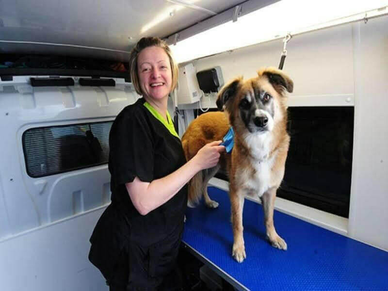Image showcasing SBA-Ready Mobile Pet Grooming Plan (Word & PDF)