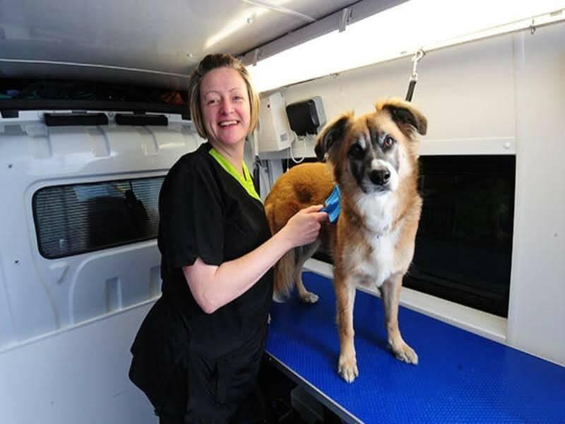 Mobile Pet Grooming Service Business Plan - BPlanMaker