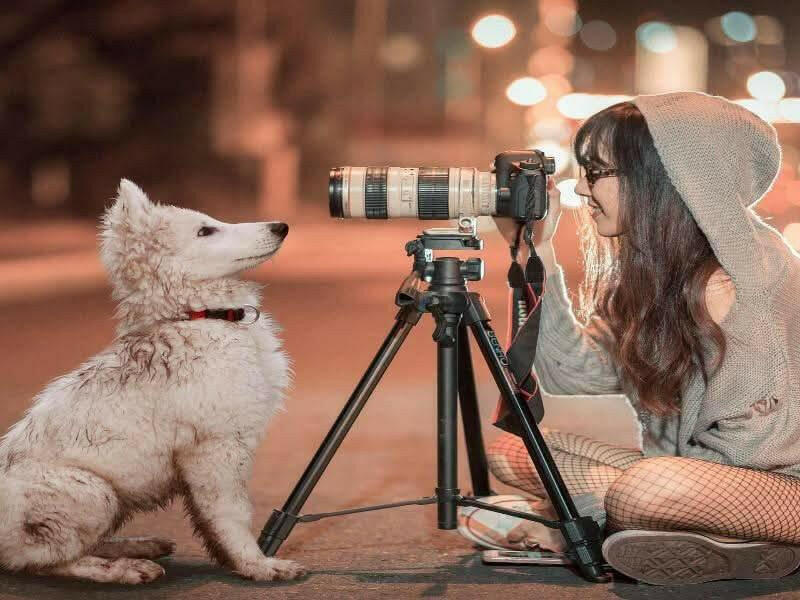 Pet Photographer Business Plan - BPlanMaker