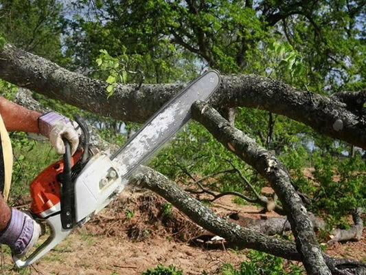 Tree Removal Service Business Plan - BPlanMaker